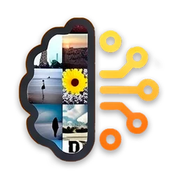 Immich Photo Manager
