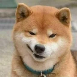 启动方式