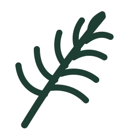 EcoAloha