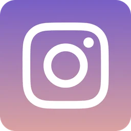 InstaVision