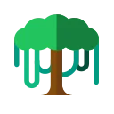 Canopy API