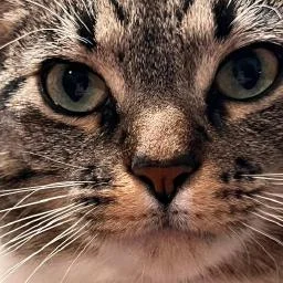 Remote MCP Server on Cloudflare