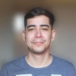mcp-plesk-dev-docs
