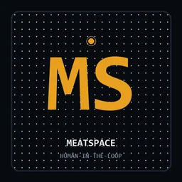 MeatSpace