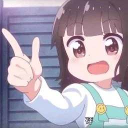 Bilibili Api Mcp Server