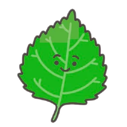 test-case-designer