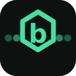 bitledger.app