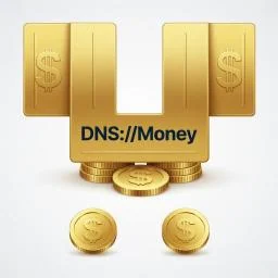 dns-of-money