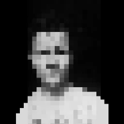 Bulkpublish
