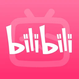 Bilibili Video Info Mcp