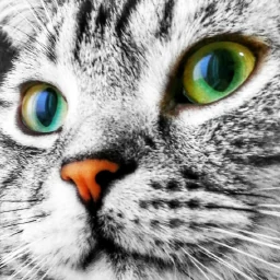 arxiv-paper-translator