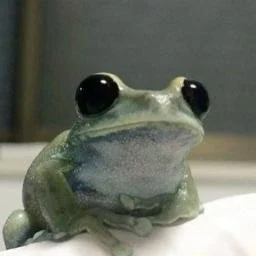 Ordkort