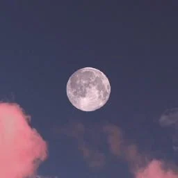 lavela