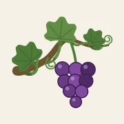 VineVerse — Bible Knowledge Graph