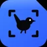 Capturewren: Website Screenshot API for AI Agents (Image + Text)