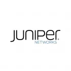 Juniper Routing Director MCP Server