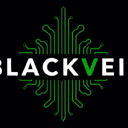 BlackVeil DNS & Email Security Scanner