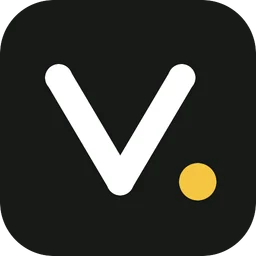 Veripoint — AI Company Financial Research