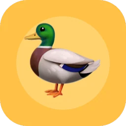 PrintYourDuck Quote
