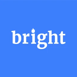 Bright Data MCP
