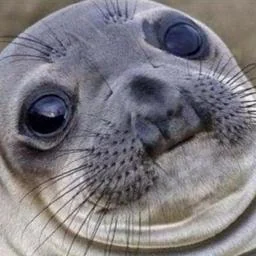 Testrail Mcp Server