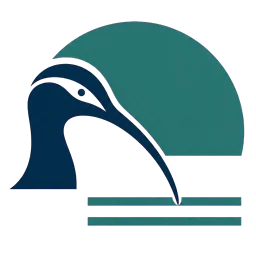 Whimbrel MedTech Analyst