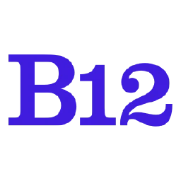 @b12/website-generator-mcp-server