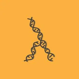 using-jj-workspaces