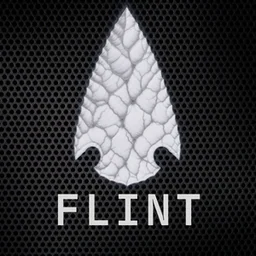 FLINT Network