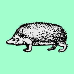 Hedgehood Options