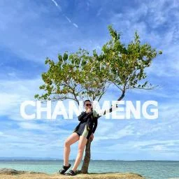 archlang-mcp
