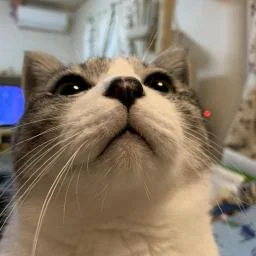 Building a Remote MCP Server on Cloudflare (Without Auth)