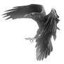 MCP End-to-End Testing for Roo-Code Integration
