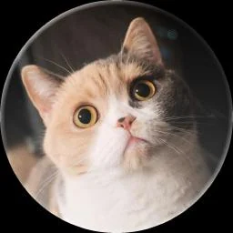 weekly-report-writer