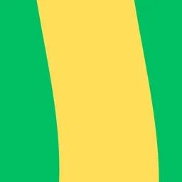 Brazilian PEP (Politically Exposed Person)