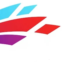 WhiteBoxXAI