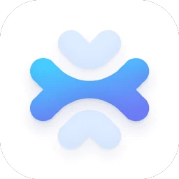 apidog-import-export