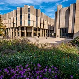 Northwestern University Libraries Digital Collections API