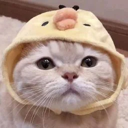 📦 Repository Archived