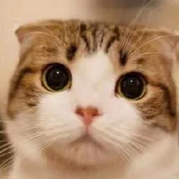 Nmap MCP Server