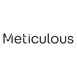 meticulous-iterative-dev