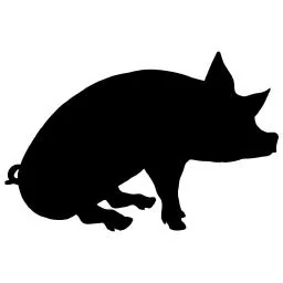 A Cloud Automator MCP server