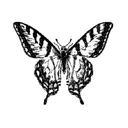 Composer
