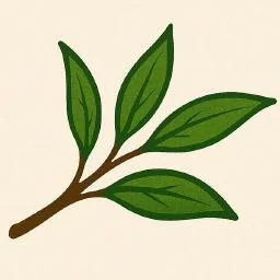Codex MCP Wrapper