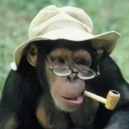 Kubernetes Read Only MCP Server