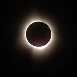 Blindoracle
