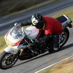 zk-mcp