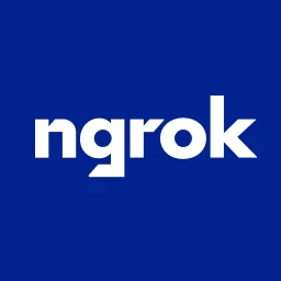 ngrok CLI
