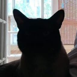 my-agent-browser